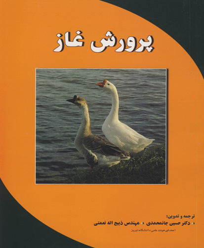 پرورش غاز